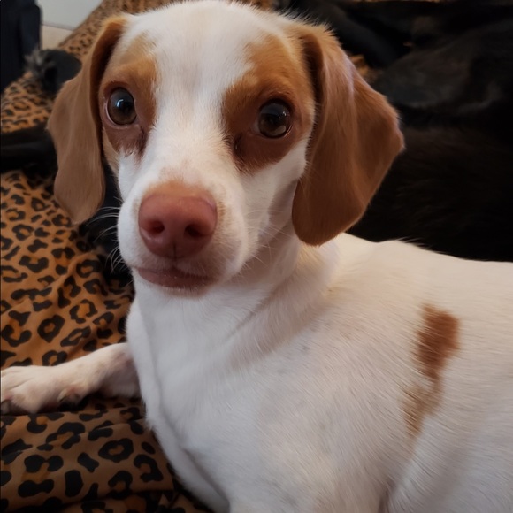 Meet the Posher! - Picture 8 of 9